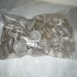 34 ct Decorative Seashell Accents in clear and White. Perfect craft project idea